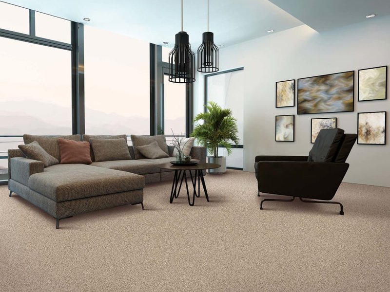 Luxury carpet in Greenwood, SC from Reagan Flooring